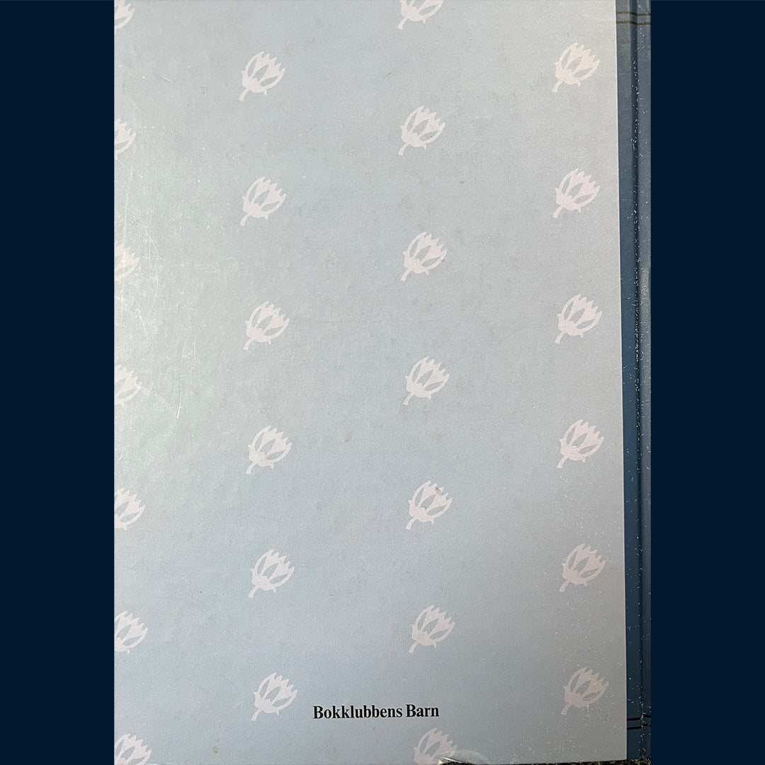 Hugo, Victor: Ringeren i Notre-Dame