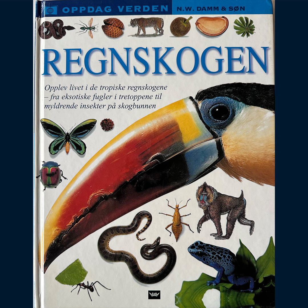 Damm Fakta - Oppdag verden: Regnskogen