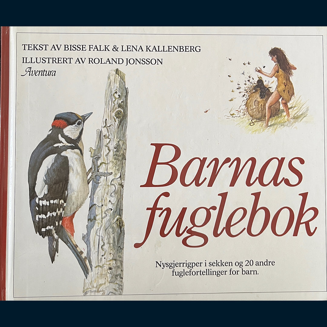 Falk, Bisse og Kallenberg, Lena: Barnas Fuglebok