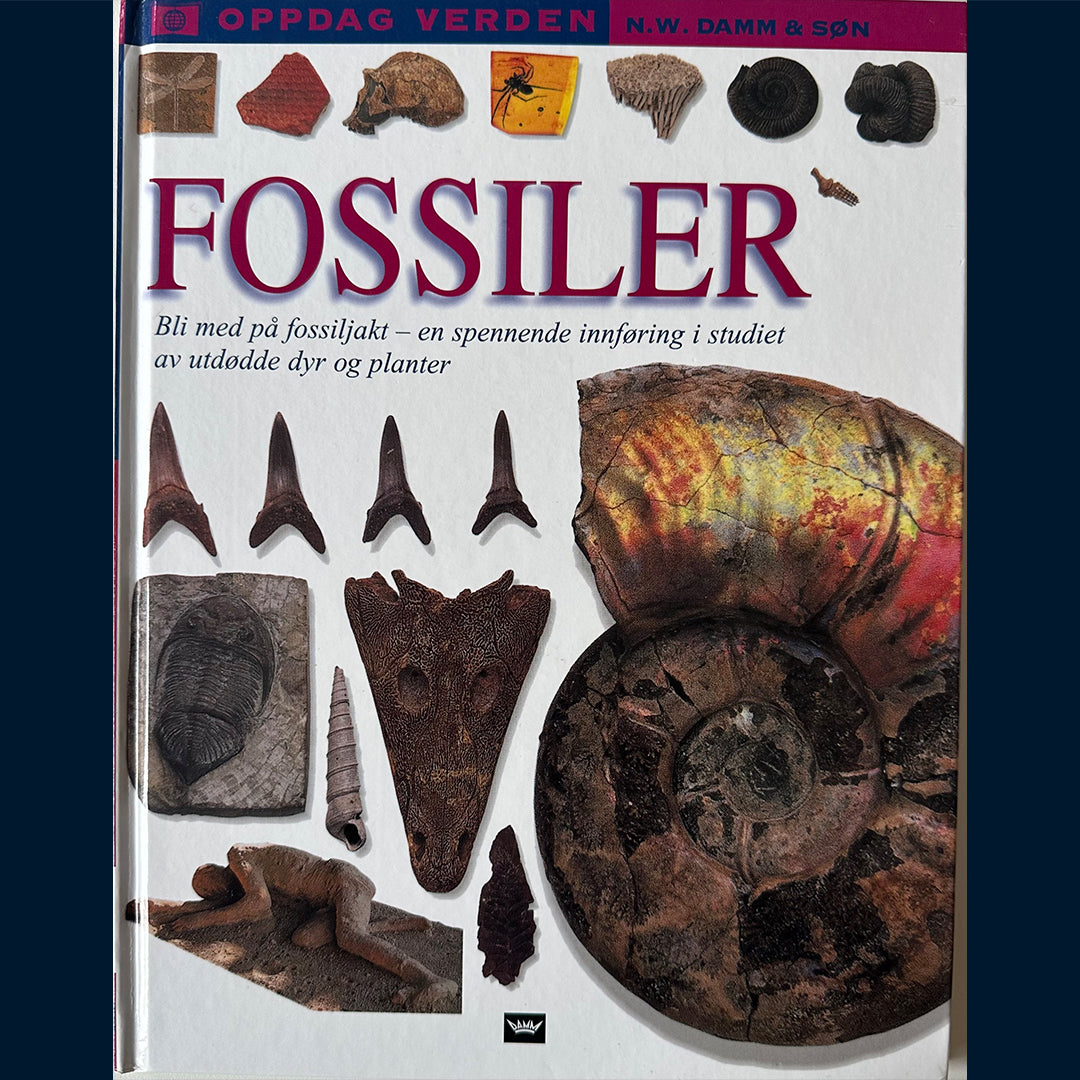 Damm Fakta - Oppdag verden: Fossiler