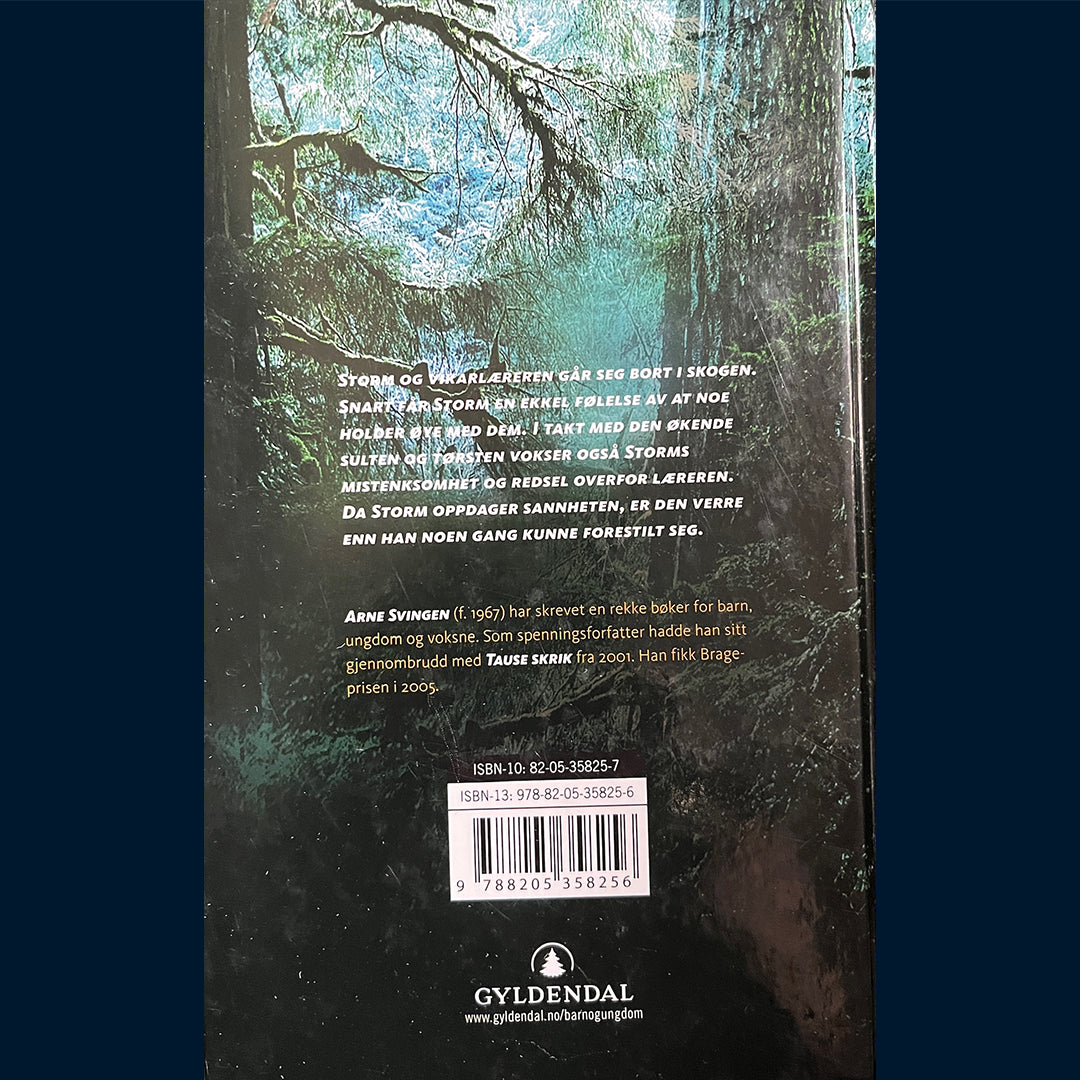 Svingen, Arne: Gutten som gikk opp i røyk