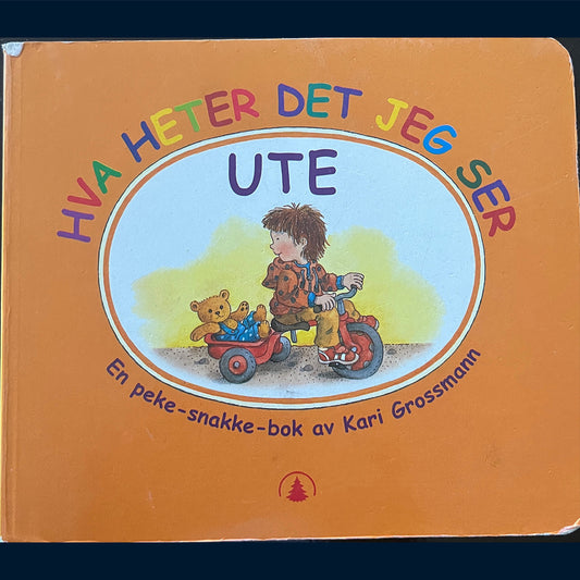 Grossmann, Kari: Hva heter det jeg ser - Ute